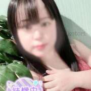 ヒメ日記 2025/07/09 19:53 投稿 ことり 茨城神栖ちゃんこ