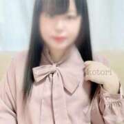 ヒメ日記 2025/07/11 06:00 投稿 ことり 茨城神栖ちゃんこ