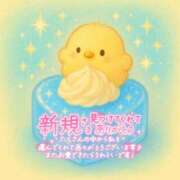 ヒメ日記 2025/08/05 23:01 投稿 ことり 茨城神栖ちゃんこ