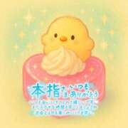 ヒメ日記 2025/10/23 06:00 投稿 ことり 茨城神栖ちゃんこ