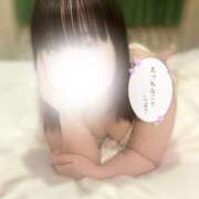 ことり 春の訪れ🌸🌷🐝？？ 茨城神栖ちゃんこ