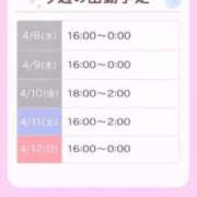 ヒメ日記 2026/04/08 18:03 投稿 ことり 茨城神栖ちゃんこ