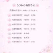 ヒメ日記 2026/04/13 18:01 投稿 ことり 茨城神栖ちゃんこ