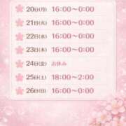 ヒメ日記 2026/04/19 22:02 投稿 ことり 茨城神栖ちゃんこ