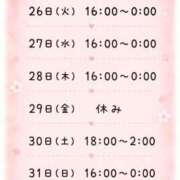 ヒメ日記 2026/05/26 12:15 投稿 ことり 茨城神栖ちゃんこ