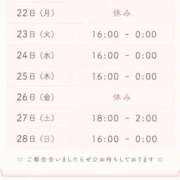 ヒメ日記 2026/06/21 08:02 投稿 ことり 茨城神栖ちゃんこ