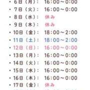 ヒメ日記 2026/07/06 12:03 投稿 ことり 茨城神栖ちゃんこ