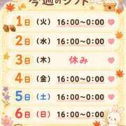 ヒメ日記 2026/09/01 14:02 投稿 ことり 茨城神栖ちゃんこ