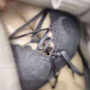 なお なお（スピード梅田店） スピード梅田店