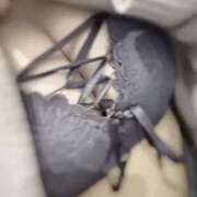 ヒメ日記 2026/01/23 20:58 投稿 なお スピード梅田店