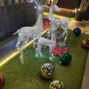 ヒメ日記 2024/12/10 18:58 投稿 かのん エレガンス(広島)