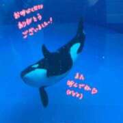 ヒメ日記 2025/03/31 17:18 投稿 かのん エレガンス(広島)