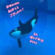 ヒメ日記 2025/03/31 18:38 投稿 かのん エレガンス(広島)