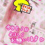 ヒメ日記 2025/04/02 11:19 投稿 かのん エレガンス(広島)