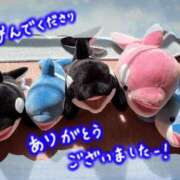 ヒメ日記 2025/04/03 13:34 投稿 かのん エレガンス(広島)