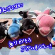 ヒメ日記 2025/04/11 19:19 投稿 かのん エレガンス(広島)