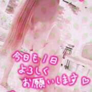 ヒメ日記 2025/04/25 12:11 投稿 かのん エレガンス(広島)