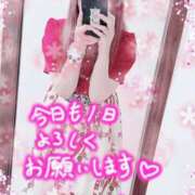 ヒメ日記 2025/05/19 10:20 投稿 かのん エレガンス(広島)