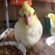 ヒメ日記 2025/06/28 18:48 投稿 かのん エレガンス(広島)