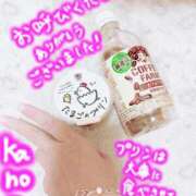 ヒメ日記 2025/08/23 16:58 投稿 かのん エレガンス(広島)