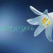 ヒメ日記 2025/11/07 09:02 投稿 まお 熟女の風俗最終章 町田店