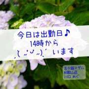 ヒメ日記 2024/05/26 12:02 投稿 川口めぐ 五十路マダム　和歌山店