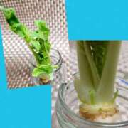 ヒメ日記 2025/01/05 06:20 投稿 川口めぐ 五十路マダム　和歌山店