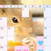 ヒメ日記 2025/01/24 11:50 投稿 川口めぐ 五十路マダム　和歌山店