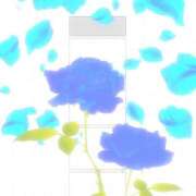 ヒメ日記 2025/01/25 19:44 投稿 川口めぐ 五十路マダム　和歌山店