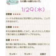 ヒメ日記 2025/01/29 06:40 投稿 川口めぐ 五十路マダム　和歌山店