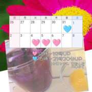 ヒメ日記 2025/01/30 21:00 投稿 川口めぐ 五十路マダム　和歌山店