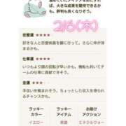 ヒメ日記 2025/02/06 06:20 投稿 川口めぐ 五十路マダム　和歌山店