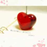 ヒメ日記 2025/02/13 20:06 投稿 川口めぐ 五十路マダム　和歌山店