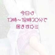 ヒメ日記 2025/02/21 11:48 投稿 川口めぐ 五十路マダム　和歌山店