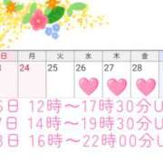 ヒメ日記 2025/02/23 12:00 投稿 川口めぐ 五十路マダム　和歌山店