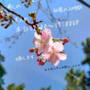 ヒメ日記 2025/03/14 06:20 投稿 川口めぐ 五十路マダム　和歌山店