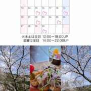 ヒメ日記 2025/04/02 06:32 投稿 川口めぐ 五十路マダム　和歌山店