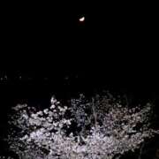 ヒメ日記 2025/04/04 15:02 投稿 川口めぐ 五十路マダム　和歌山店