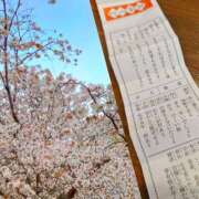 ヒメ日記 2025/04/06 20:22 投稿 川口めぐ 五十路マダム　和歌山店