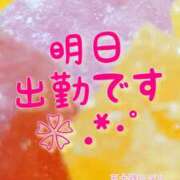 ヒメ日記 2025/04/10 06:20 投稿 川口めぐ 五十路マダム　和歌山店