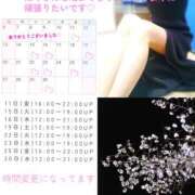 ヒメ日記 2025/04/10 15:42 投稿 川口めぐ 五十路マダム　和歌山店