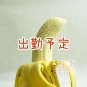 ヒメ日記 2025/04/14 19:46 投稿 川口めぐ 五十路マダム　和歌山店