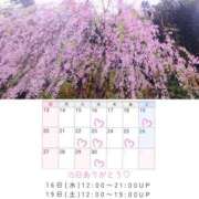 ヒメ日記 2025/04/15 20:22 投稿 川口めぐ 五十路マダム　和歌山店