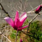 ヒメ日記 2025/04/28 19:46 投稿 川口めぐ 五十路マダム　和歌山店