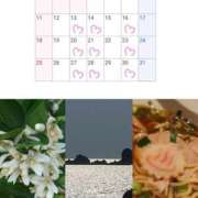 ヒメ日記 2025/05/05 23:26 投稿 川口めぐ 五十路マダム　和歌山店