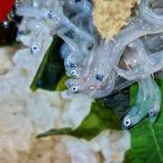 ヒメ日記 2025/05/07 20:48 投稿 川口めぐ 五十路マダム　和歌山店