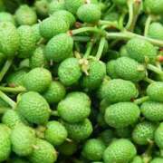 ヒメ日記 2025/05/19 15:48 投稿 川口めぐ 五十路マダム　和歌山店