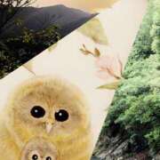 ヒメ日記 2025/06/02 18:00 投稿 川口めぐ 五十路マダム　和歌山店