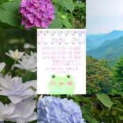 ヒメ日記 2025/06/10 09:12 投稿 川口めぐ 五十路マダム　和歌山店