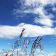 ヒメ日記 2025/06/11 07:52 投稿 川口めぐ 五十路マダム　和歌山店